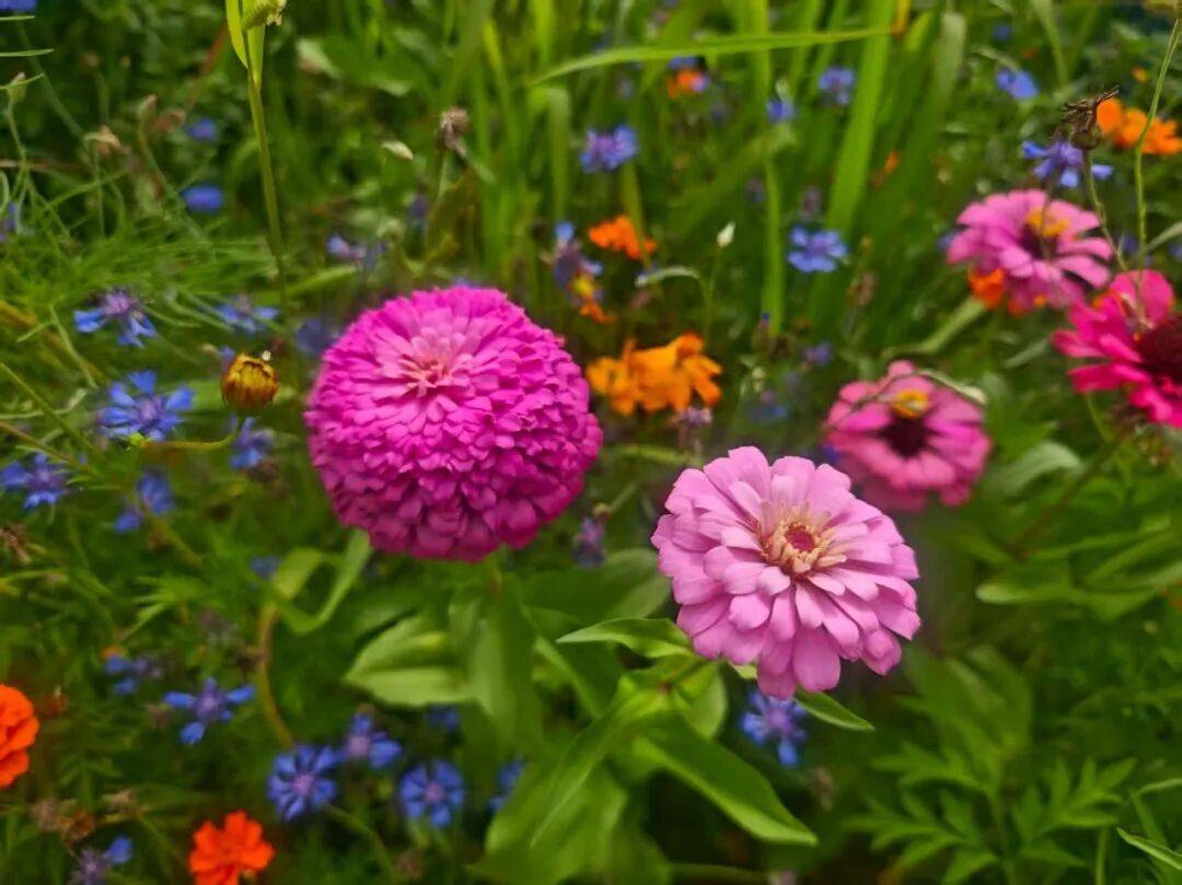策底镇：秋分启秋境多彩秋日邀客来