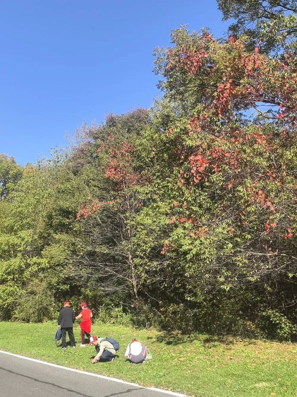 哈市五彩秋山“热力”十足｜国庆假期迎客流高峰